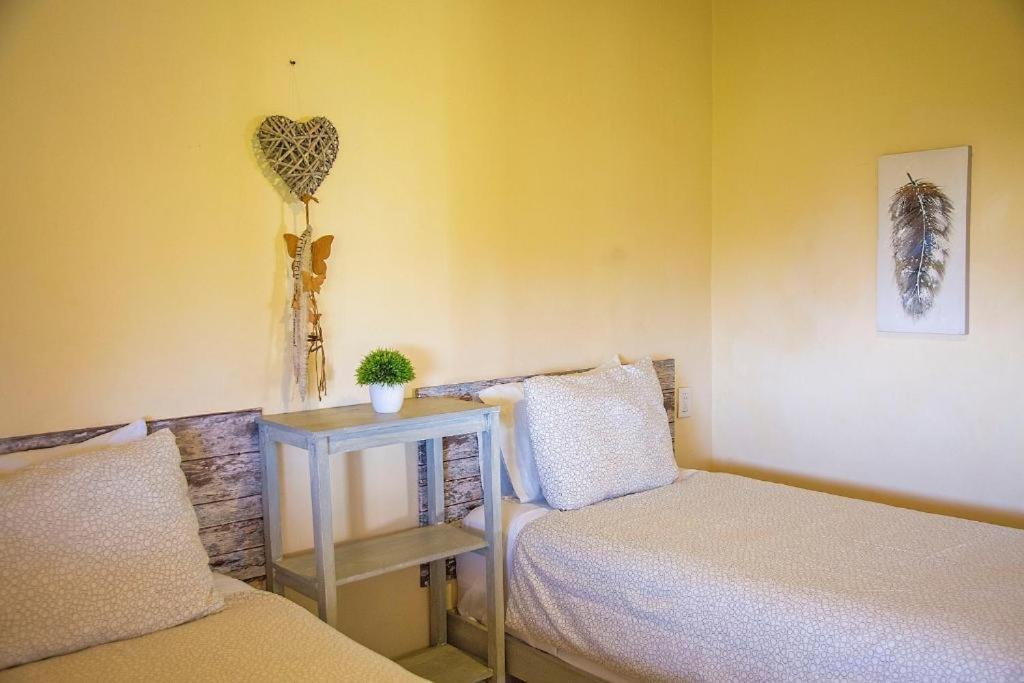 Holbox Deluxe Apartments Bagian luar foto